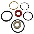 Aftermarket Power Steering Cylinder Seal Kit Fits Massey Ferguson 231 240 253 362 3904170M1